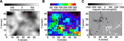 An ALMA Observation of Time Variations in Chromospheric Temperature of a Solar Plage Region